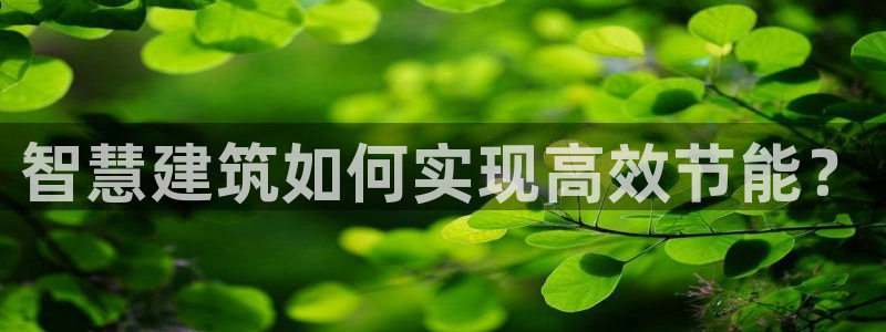 e尊国际app：智慧建筑如何实现高效节能？