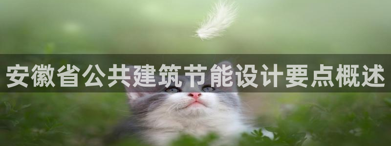 e尊国际客户端下载