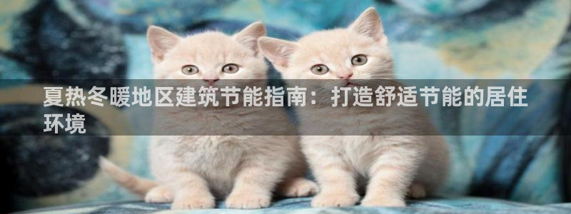 e尊国际官网·网址
