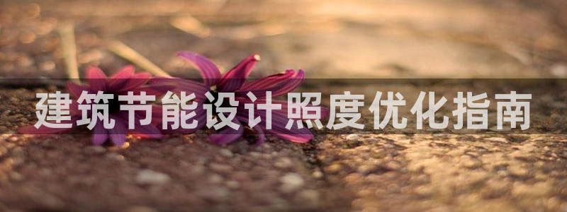 e尊国际平台