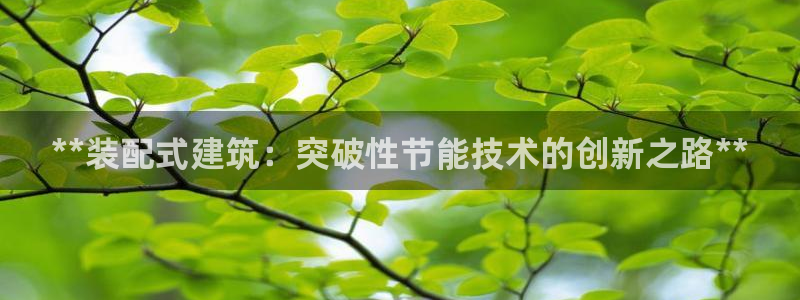 e尊国际客户端：**装配式建筑：突破性节能技术的创新之路**