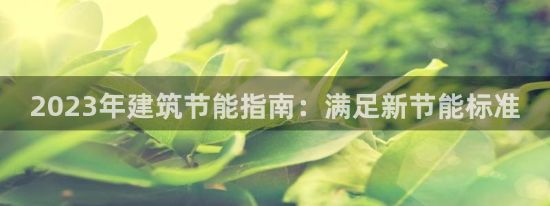 e尊国际官网·网址：2023年建筑节能指南：满足新节能标准