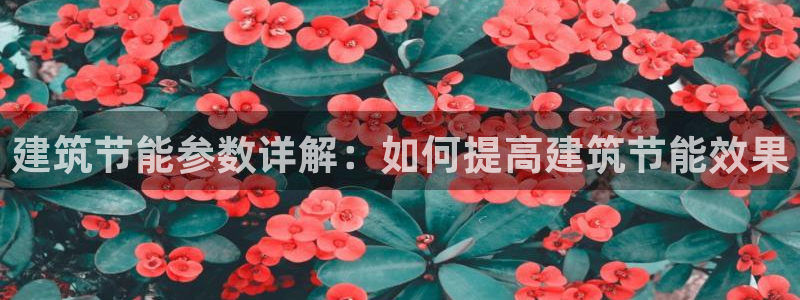 e尊国际-e尊国际官网：建筑节能参数详解：如何提高建筑节能效果