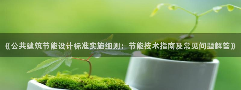 e尊国际是干什么的：《公共建筑节能设计标准实施细则：节能技术指南及常见问题解答》