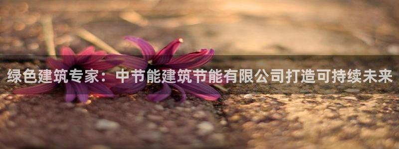 E尊国际：绿色建筑专家：中节能建筑节能有限公司打造可持续未来