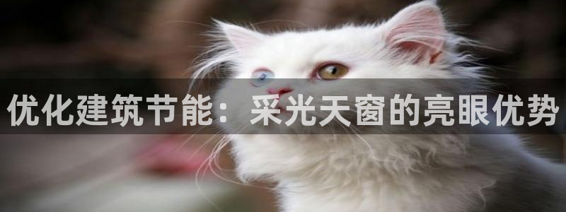 e尊国际7779