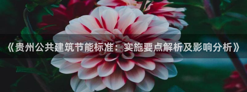 e尊平台：《贵州公共建筑节能标准：实施要点解析及影响分析》