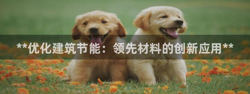 e尊国际娱乐官网下载：**优化建筑节能：领先材料的创新应用**