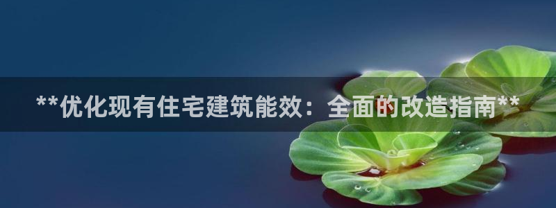 尊亿游戏国际官网：**优化现有住宅建筑能效：全面的改造指南**