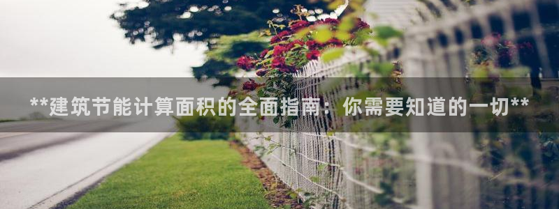 e尊国际-e尊国际官网：**建筑节能计算面积的全面指南：你需要知道的一切**