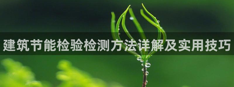 e尊国际娱乐官网下载：建筑节能检验检测方法详解及实用技巧