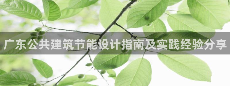 e尊国际7779：广东公共建筑节能设计指南及实践经验分享