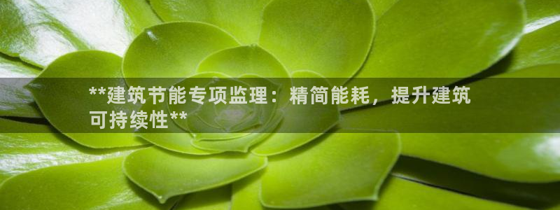 e尊体育：**建筑节能专项监理：精简能耗，提升建筑
可持续性**