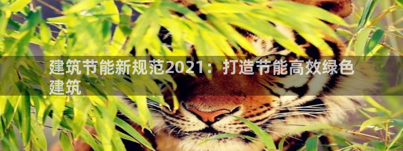 e尊国际娱乐官网地址