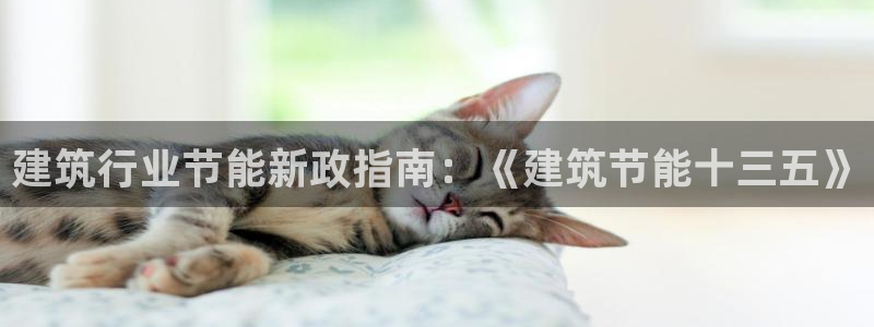 e尊国际客户端