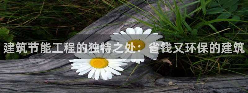 E尊国际