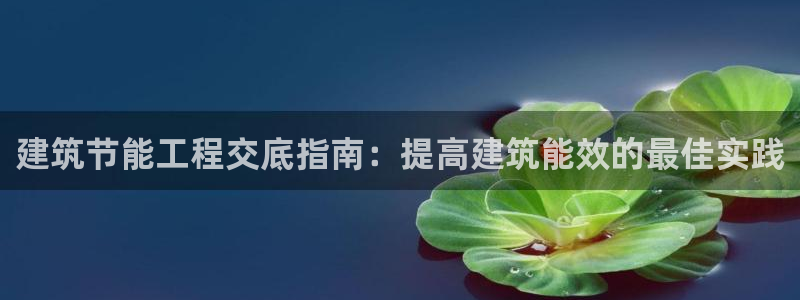 e尊国际7779：建筑节能工程交底指南：提高建筑能效的最佳实践