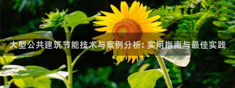 e尊国际官方网站：大型公共建筑节能技术与案例分析: 实用指南与最佳实践