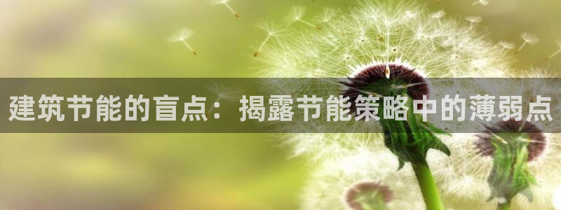 e尊国际是干什么的：建筑节能的盲点：揭露节能策略中的薄弱点