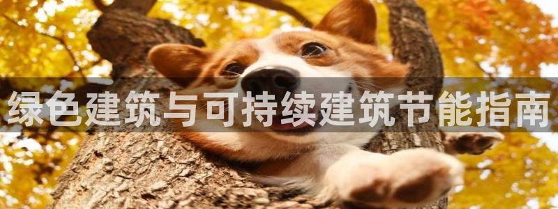 e尊国际客服：绿色建筑与可持续建筑节能指南