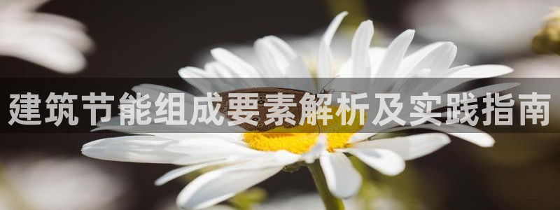 e尊体育
